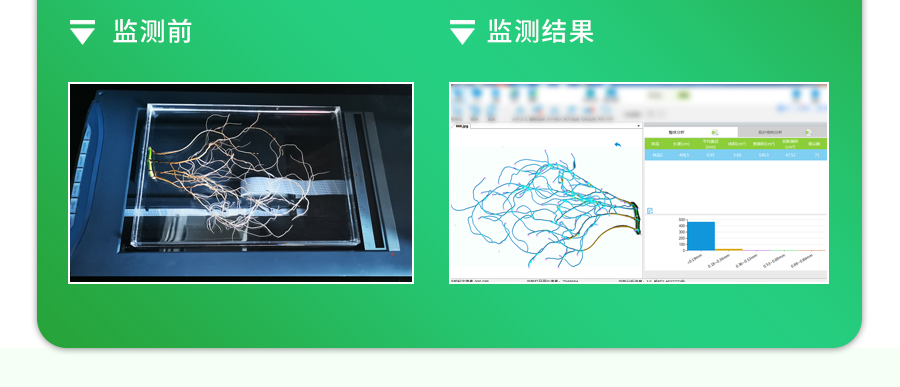 植物根系分析儀